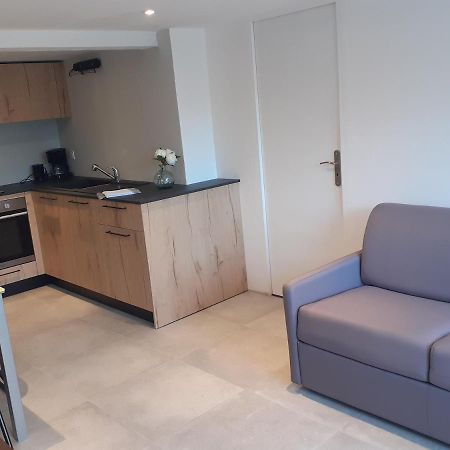 Logement Entier 4 Personnes Villefranche Sur Saone Buitenkant foto